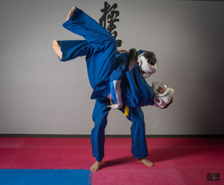 Projection Kudo Tours