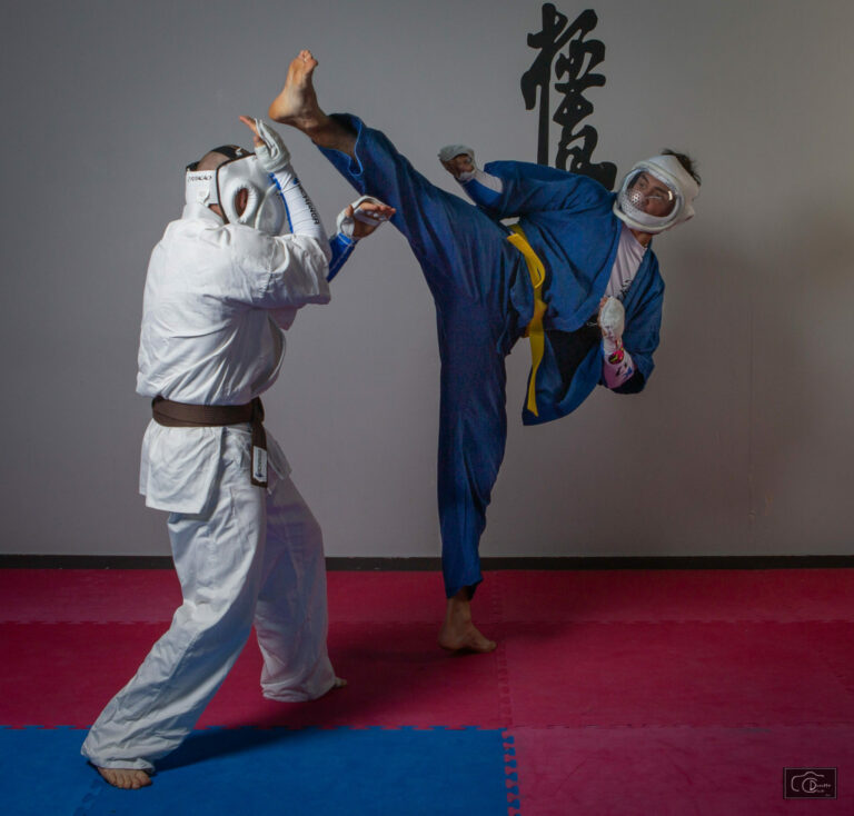 high Kick Kudo Tours