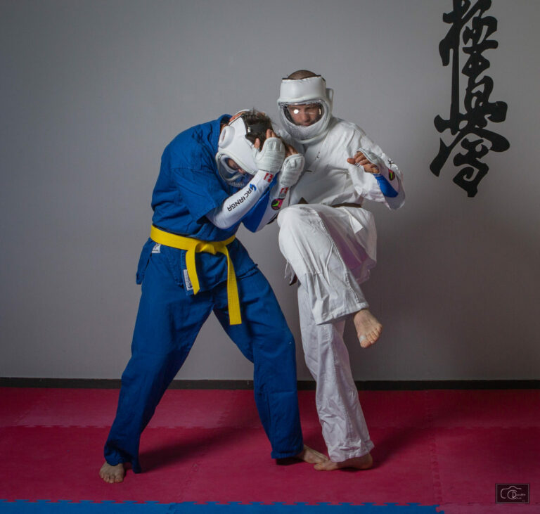 Coup de Genou Kudo Tours